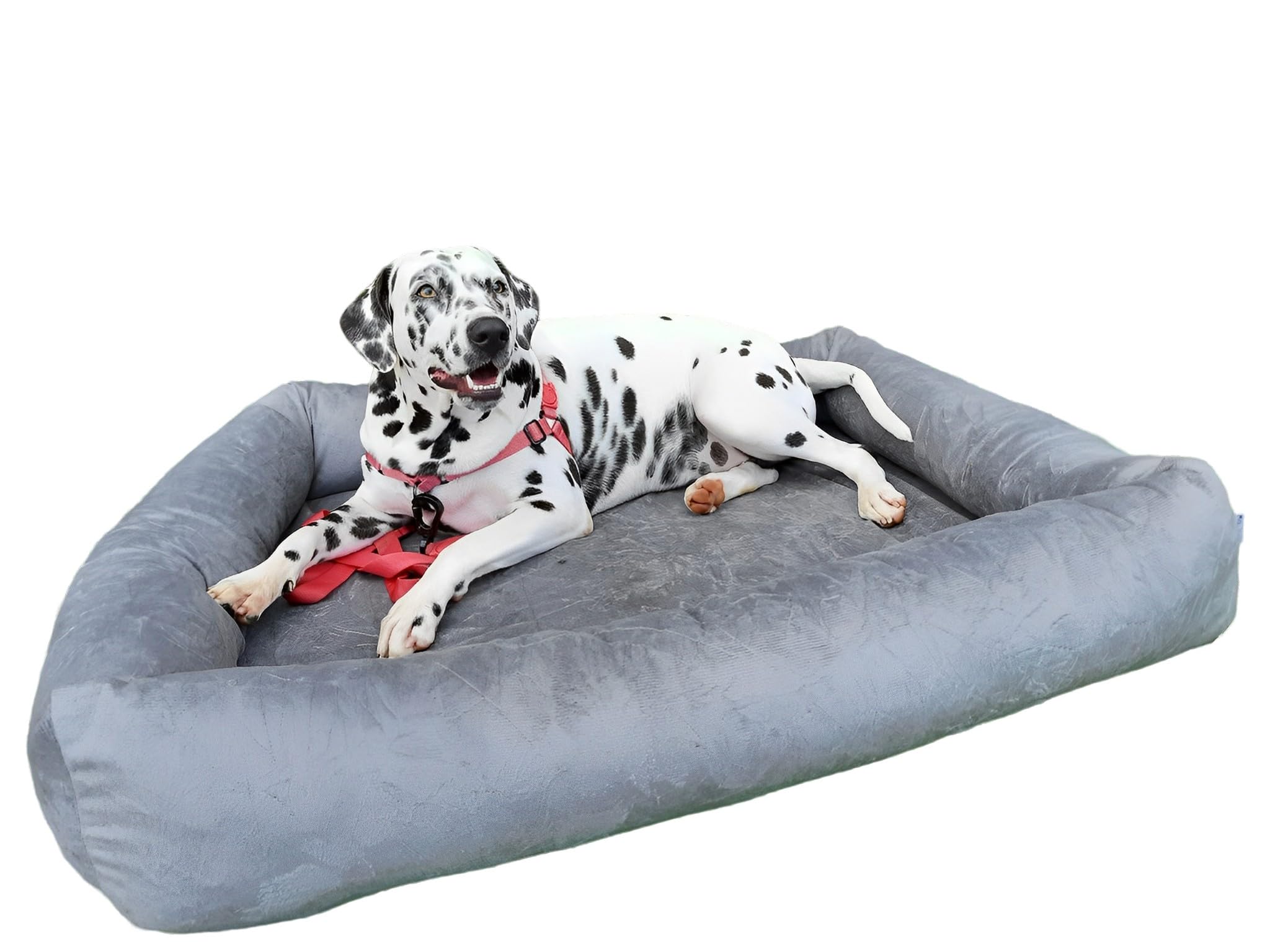 imagem de uma cama cinza para cachorros